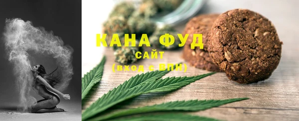 МДПВ Пересвет