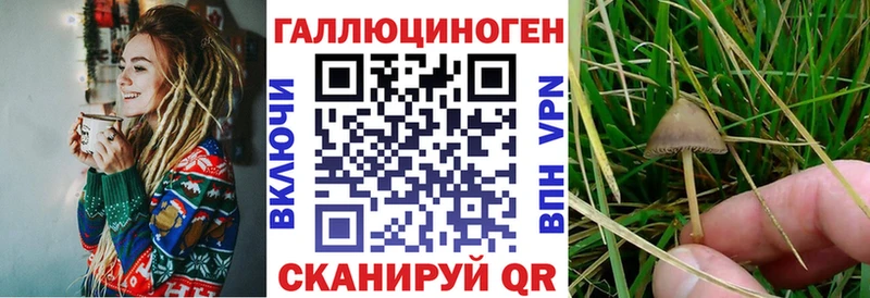 Псилоцибиновые грибы GOLDEN TEACHER  Петровск-Забайкальский 